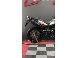 HONDA - SAHARA 300 ABS FLEX - 2024/2024 - Branca - R$ 35.900,00